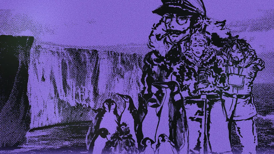 Penguin Colony
